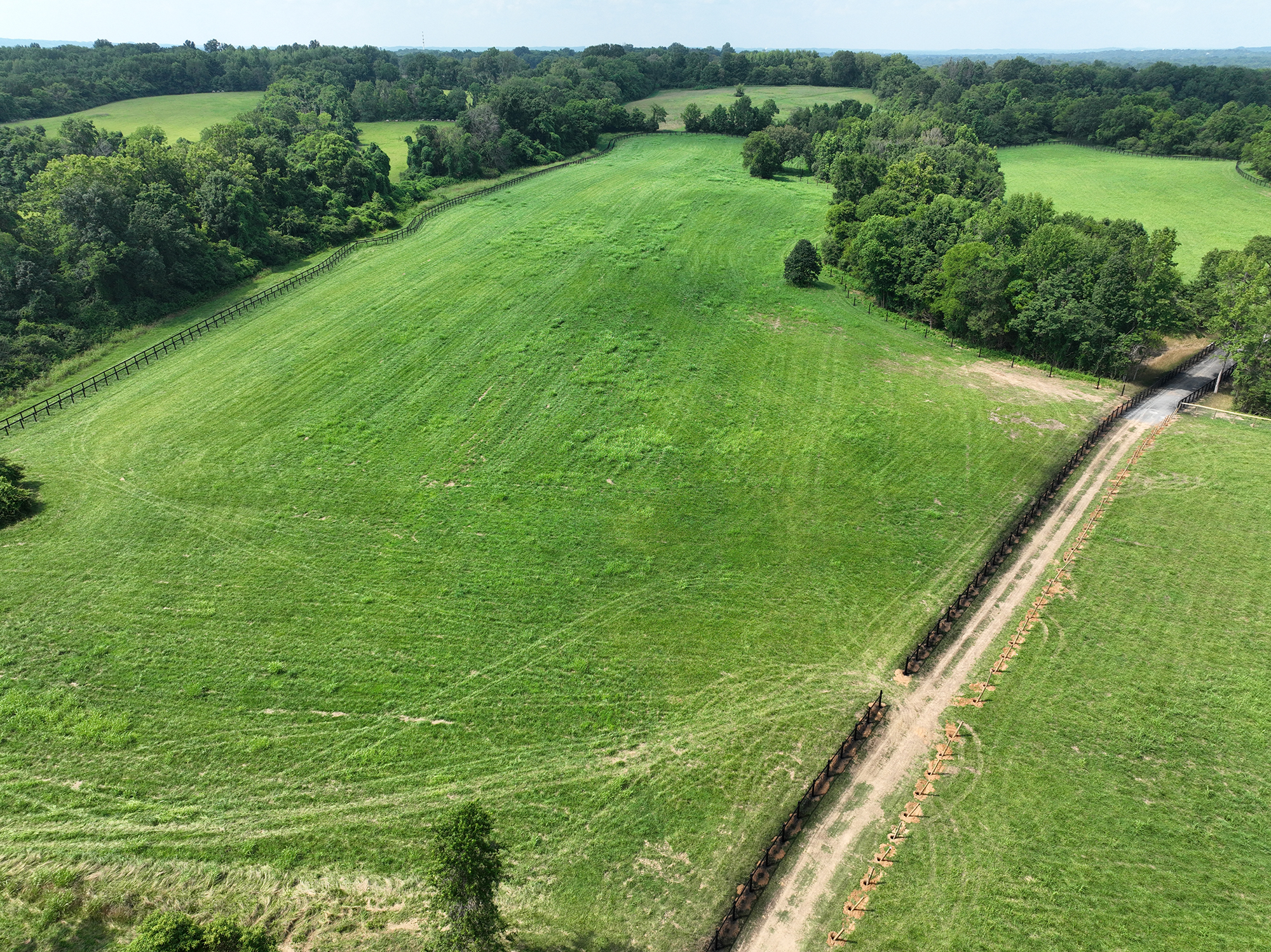 Capital Project Solutions Supports Mounted Horse Patrol Excellence