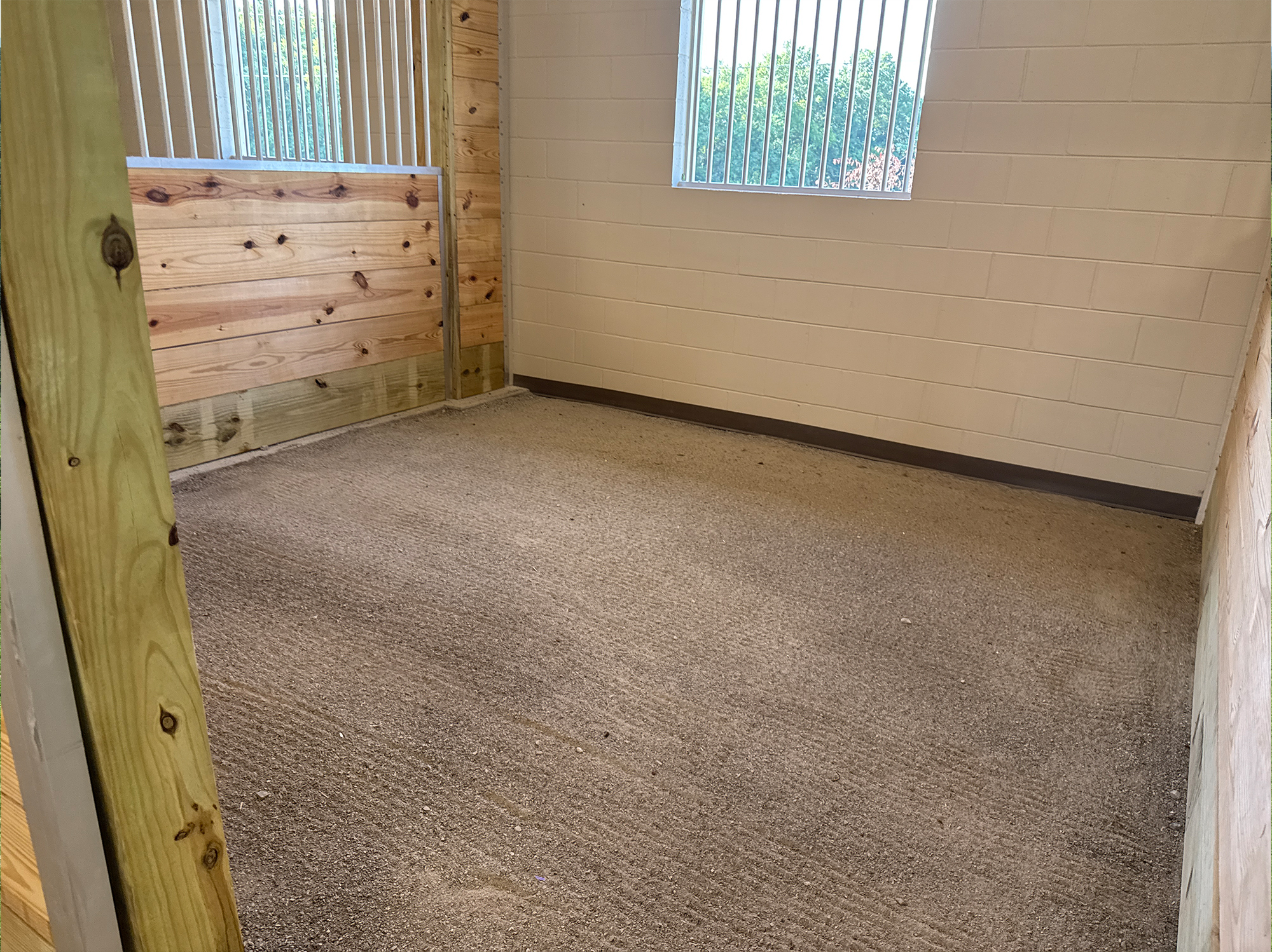 Capital Project Solutions Supports Mounted Horse Patrol Excellence