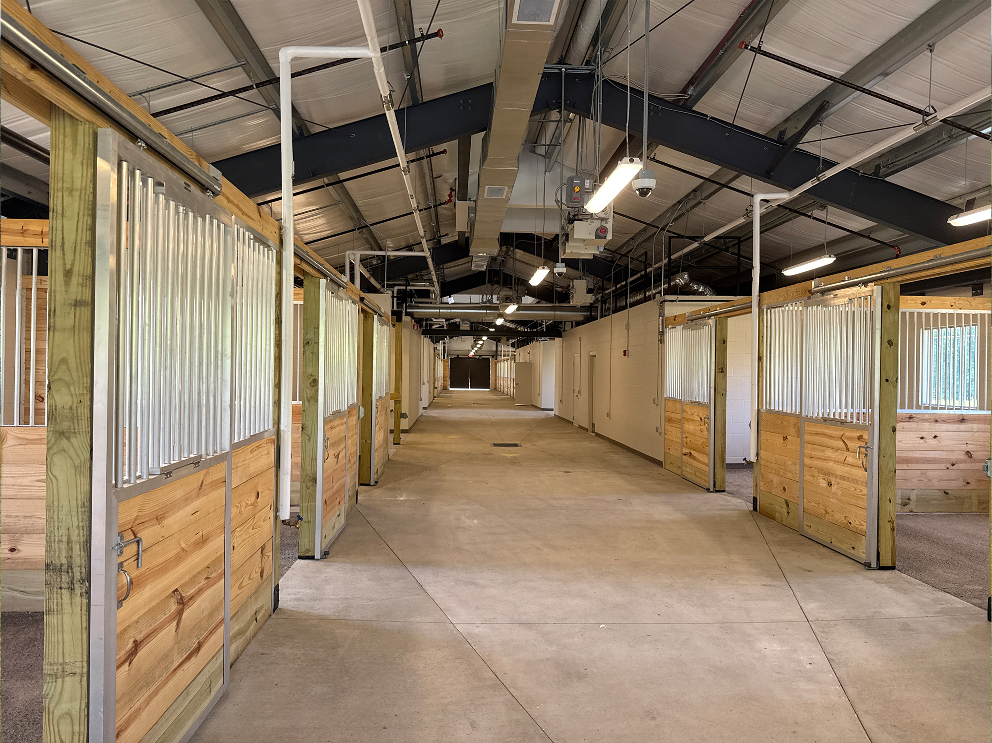 Capital Project Solutions Supports Mounted Horse Patrol Excellence