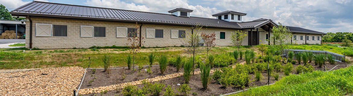 Metro Nashville Police Horse Mounted Patrol