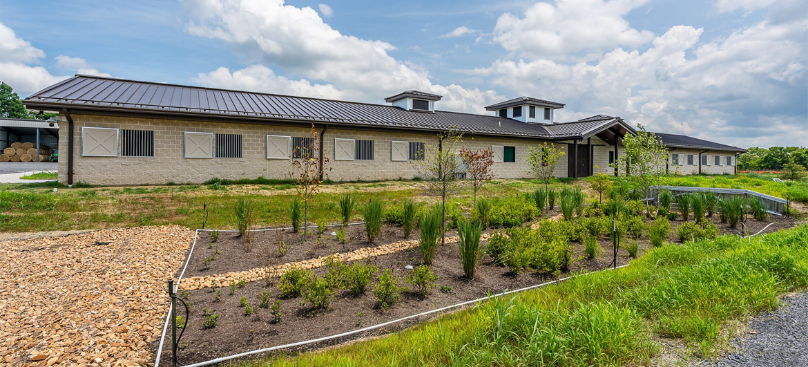 Metro Nashville Police Horse Mounted Patrol
