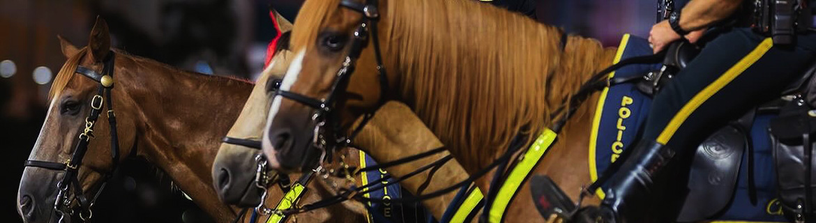 Capital Project Solutions Supports Mounted Horse Patrol Excellence