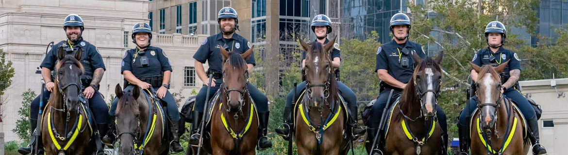 MNPD Mounted Horse Patrol Makes its Move
